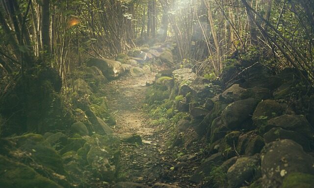 Ile kosztuje wycieczka do Pragi na 3 dni?