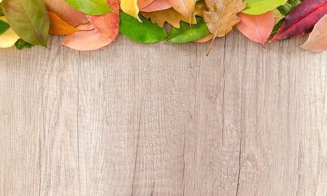 Co trzeba mieć na granicy polsko czeskiej?