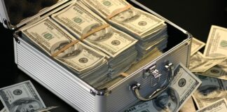 Na czym zarabia dania?