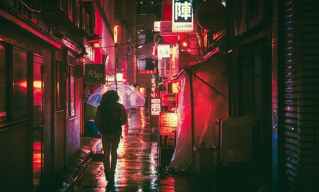 W jakim języku mówi się w Czechach?