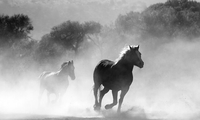 Gdzie w Czechach można palić papierosy?