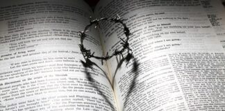 Czy Korona duńska jest bezpieczna?